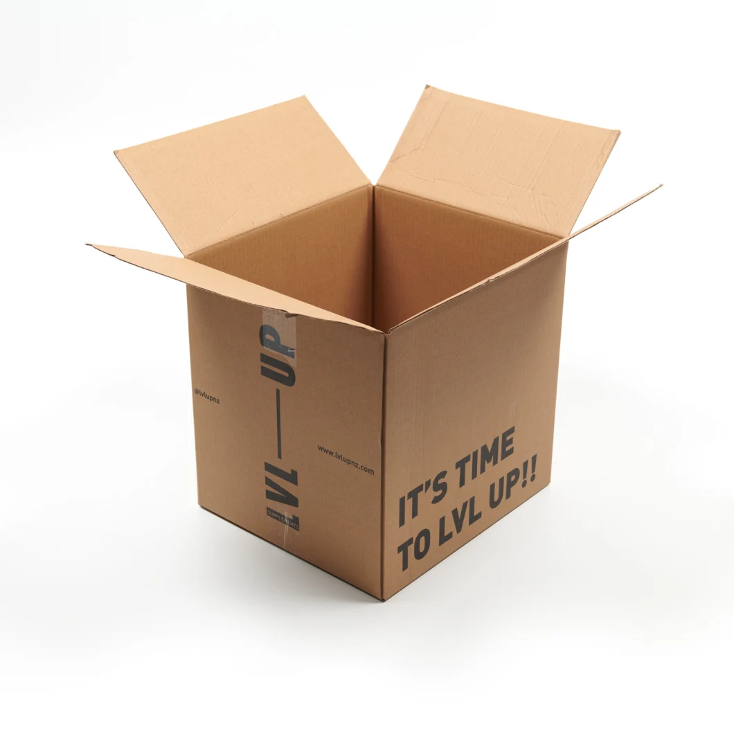 Basic Customization Printed Big Size Sturdy Shipping Box Corrugated Paper Carton Mailer Box with Black Logo