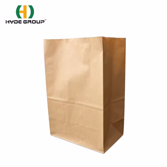 Hot Selling Restaurant Recyclable Take Away Fast Food Kraft Paper Bag