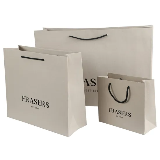 Custom Printed Jewelry Shopping Paper Gift Bag Luxury Gift Paper Bag with Logo Bronzing