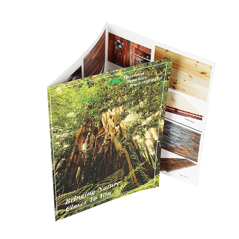 Printing Custom Fold Paper Flyer Catalog Booklet Brochure