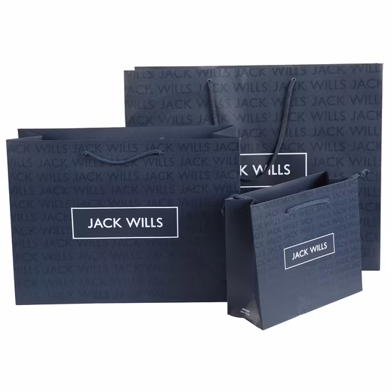 Custom Printed Jewelry Shopping Paper Gift Bag Luxury Gift Paper Bag with Logo Bronzing