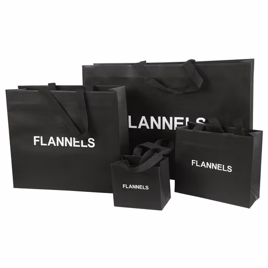 Custom Printed Jewelry Shopping Paper Gift Bag Luxury Gift Paper Bag with Logo Bronzing