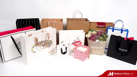 White Coated Paper Bag Shopping Bag for Clothes/Apparel/Gift