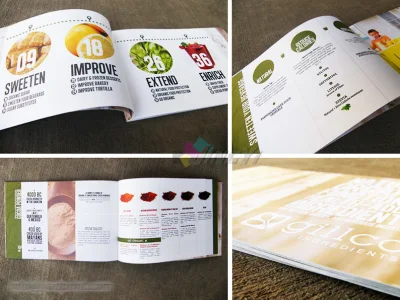 Custom Made Folded Booklet/Brochure Full Color Printing Advertising Paper