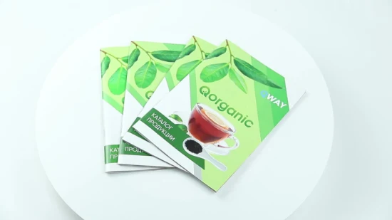 Low Cost Brochure Booklet Folding Flyer Printing
